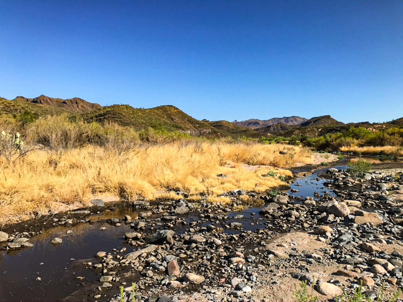 Sycamore Creek post flood 