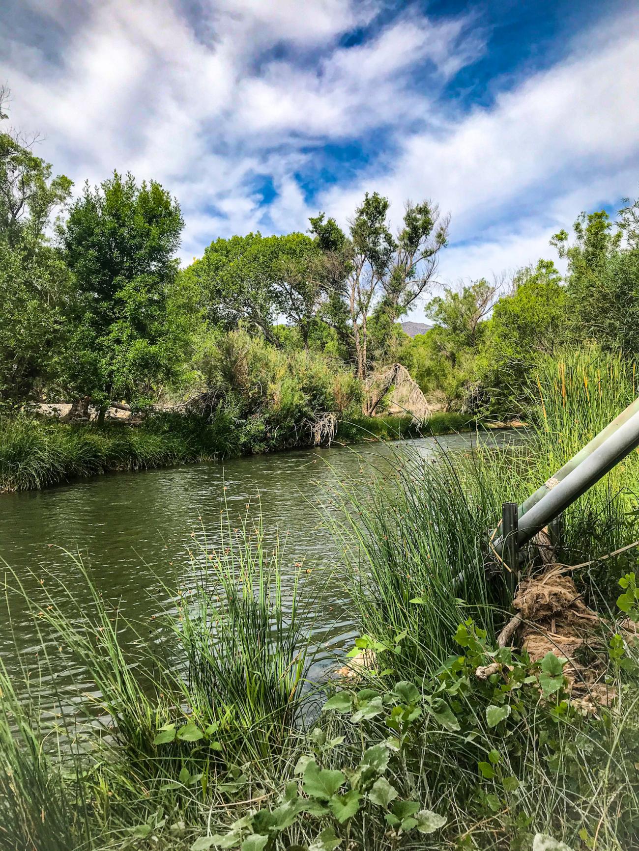 Middle Verde River StreamPULSE site